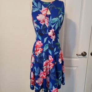 Womens Summer Floral Print Fit and Flare Dress